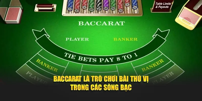 Baccarat là trò chơi bài thú vị trong các sòng bạc