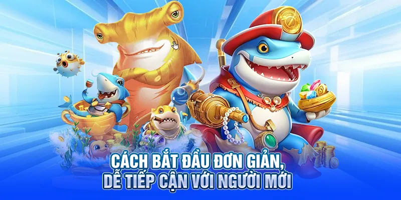 Cách bắt đầu đơn giản, dễ tiếp cận với người mới