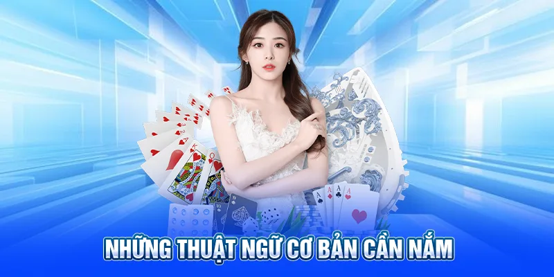 Những thuật ngữ cơ bản cần nắm